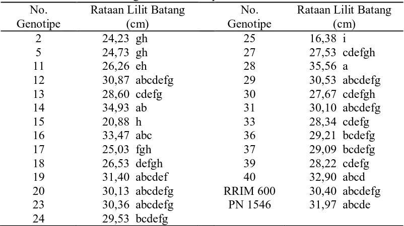 Tabel 5. Rataan Lilit Batang dari 25 Genotipe dan Tetua No. Rataan Lilit Batang No. 