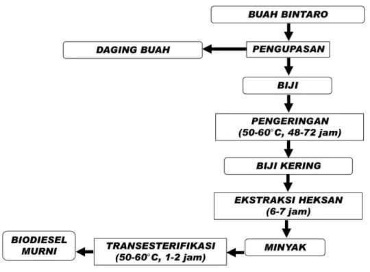 Gambar 1.  Proses pengolahan buah bintaro menjadi bio diesel  Tabel 1. 