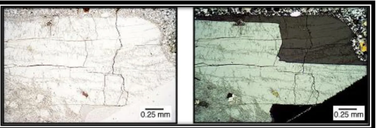 Gambar 2.2 Kenampakan mineral Ortoklas  pada ortoskop nikol sejajar (kiri)  dan ortoskop nikol sejajar (kanan) 