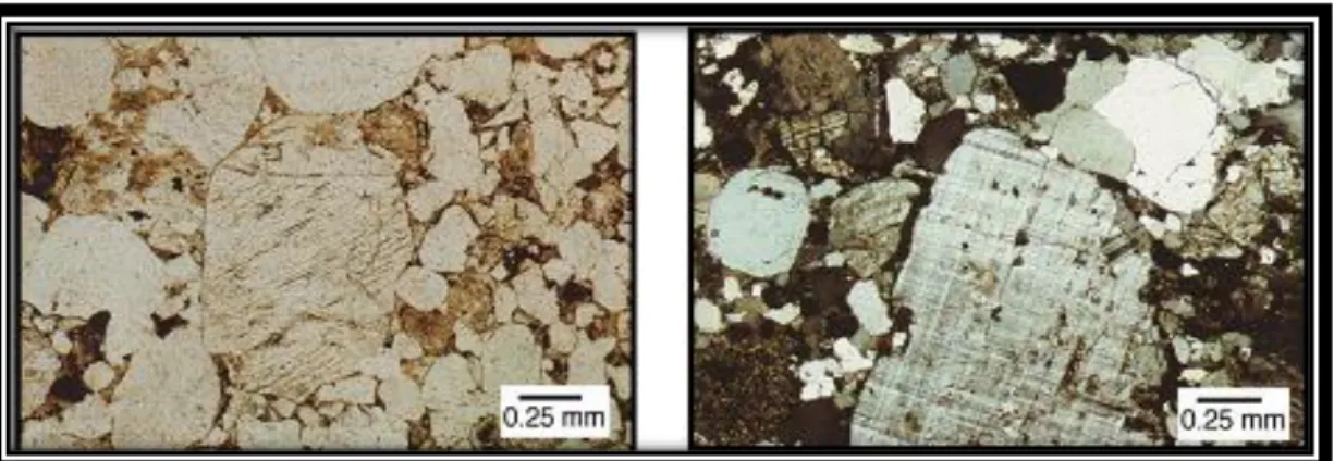 Gambar  2.4  Kenampakan  mineral  Mikroklin    pada  ortoskop  nikol  sejajar  (kiri)  dan ortoskop nikol sejajar (kanan) 