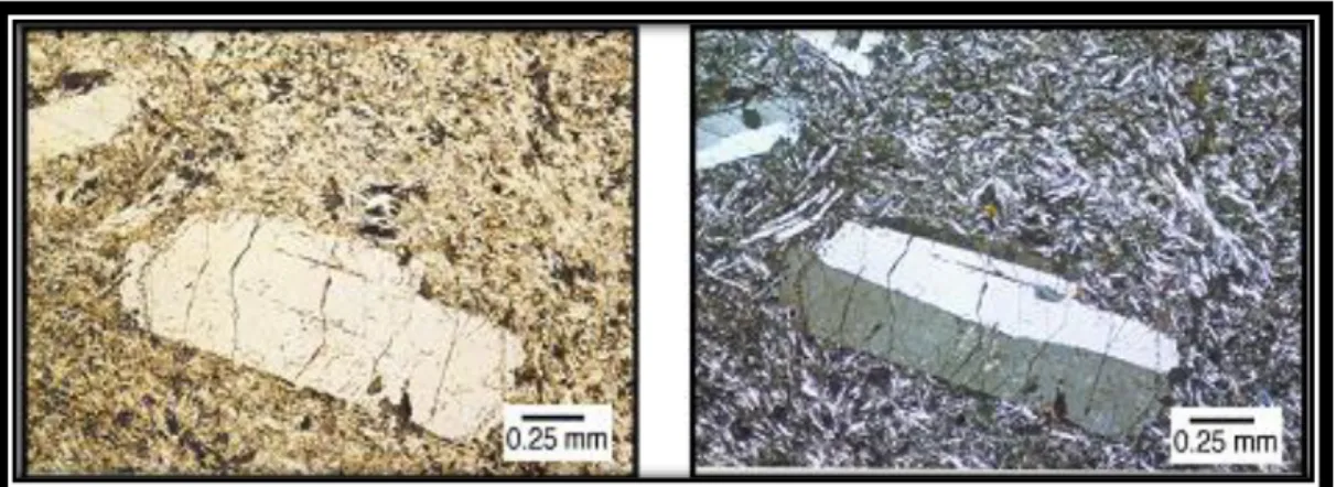 Gambar  2.1  Kenampakan  mineral  Sanidine    pada  ortoskop  nikol  sejajar  (kiri) dan ortoskop nikol sejajar (kanan) 