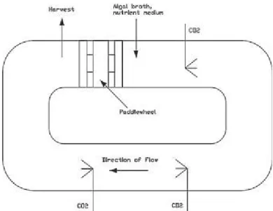 Gambar 2.2 Komponen Open Pond Photobioreactor