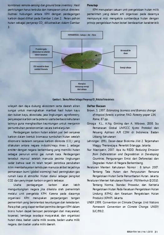 Gambar 3. Skema Pohon Sebagai Penyerap CO2 Melalui Fotosintesis