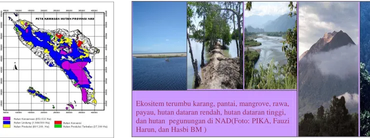 Gambar 3.  Beberapa Fauna Langka dan Penting di Propinsi Nanggroe Aceh Darussalam 