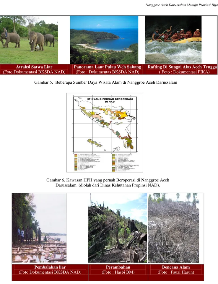 Gambar 6. Kawasan HPH yang pernah Beroperasi di Nanggroe Aceh  Darussalam  (diolah dari Dinas Kehutanan Propinsi NAD)