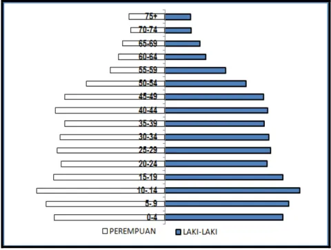 Grafik Piramida Penduduk  menurut kelompok Umur Tahun  2011 