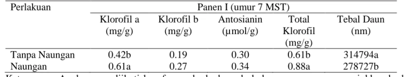 Tabel  4.  Pengaruh  naungan  terhadap  kandungan  klorofil,  antosianin,  dan  tebal daun  bangun-bangun  pada panen I 