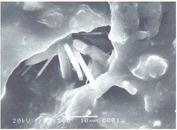 Gambar 2.7. Foto campuran aspal dan polypropylene setelah pengujian 
