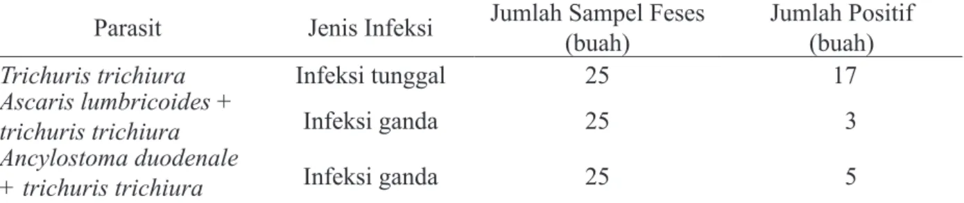Tabel 1 Identifikasi telur cacing yang menginfeksi Macaca maura di Taman Nasional Bantimurung   Bulusaraung Sulawesi Selatan 