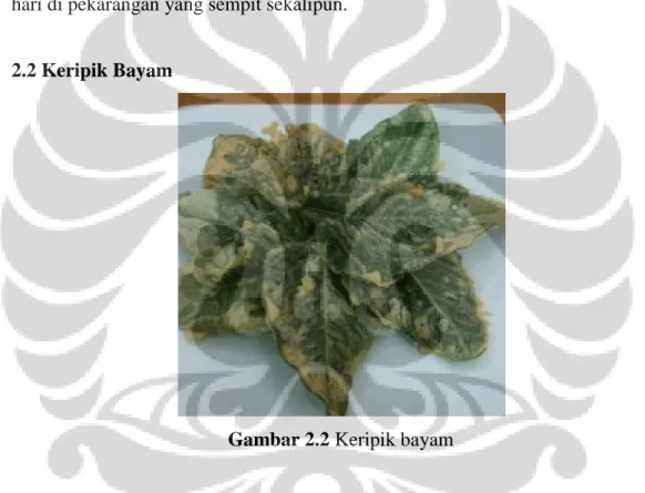 Gambar 2.2 Keripik bayam
