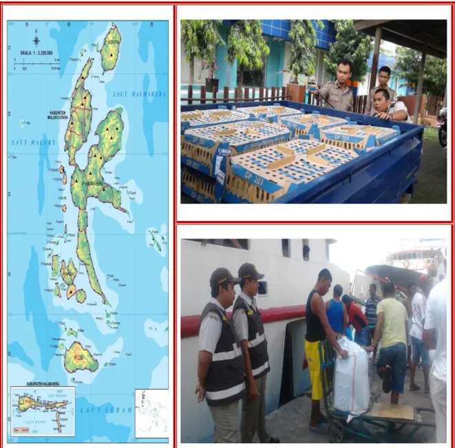 Gambar  1.  Kegiatan  Balai  Karantina  Pertanian  Kelas  II  Ternate  dalam  rangka  cegah tangkal HPHK/OPTK di Maluku Utara 