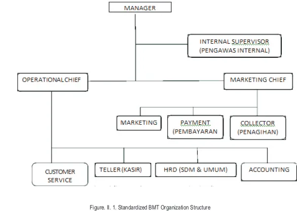 Figure. II. 1. Standardized BMT Organization Structure