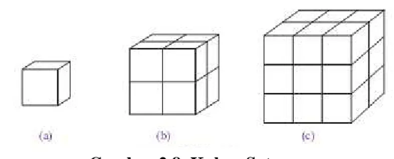 Gambar  2.8  menunjukkan  bentuk-bentuk  kubus  dengan  ukuran  berbeda.  Kubus  pada  gambar  2.8  (a)  merupakan  kubus  satuan