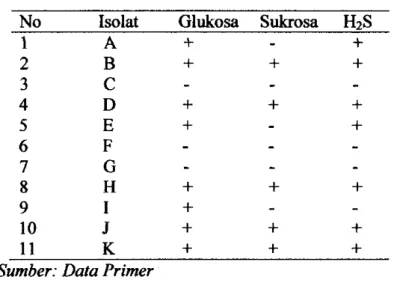Tabel 3. Hasil Uji Menggunakan Medium TSIA 