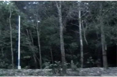 Gambar 4. Taman Hutan Raya 