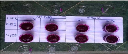 Table 4. Water content (%) restructure of red dragon fruit in various algynate concentrtae and CaCl2  