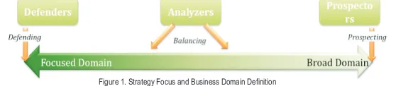 Figure 1. Strategy Focus and Business Domain Definition