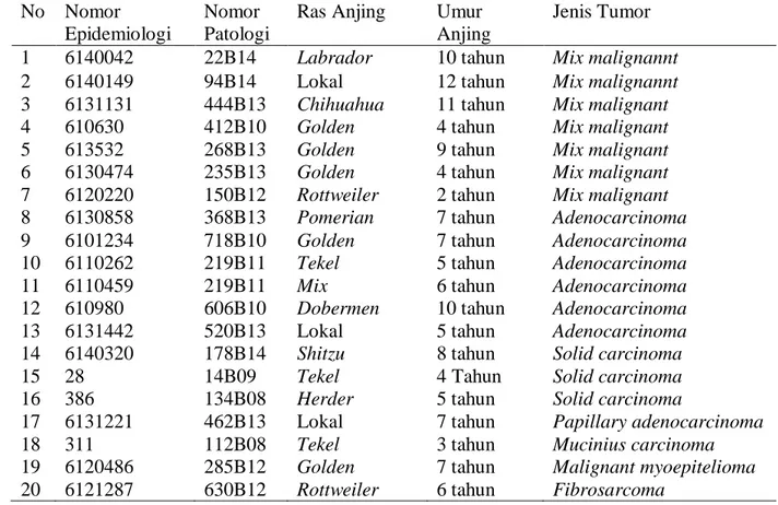 Tabel  1  Data  Umur  dan  Ras  anjing  Penderita  Tumor  Mamae  dan  Klasifikasi  Tumor  Mamae  pada  Anjing  Penderita  Tumor  Mamae  di  Kota  Denpasar (2008-2014) 