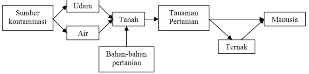 Gambar 11. Jalur Cemaran Logam Berat (Darmono, 1995) 