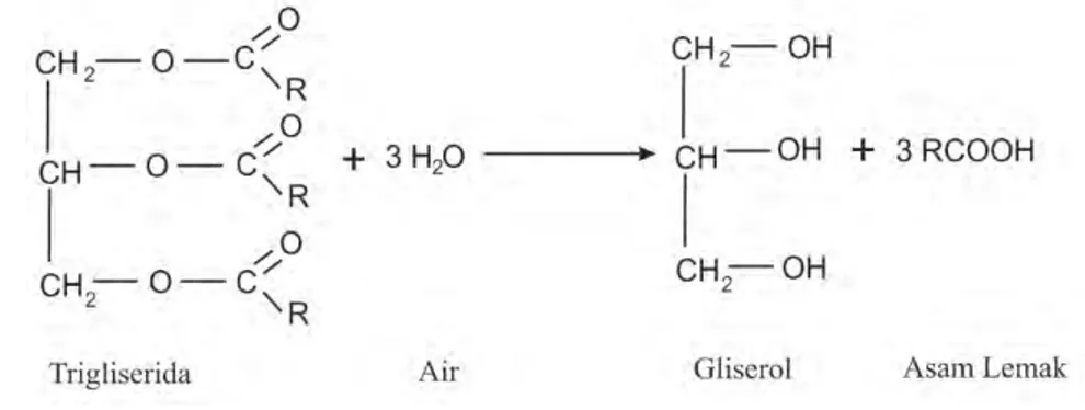 Gambar 7. Reaksi Hidrolisis Trigliserida (Ketaren, 2005) 