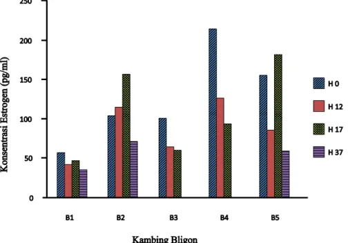 Gambar 7.  Profil hormon estrogen pada kambing Bligon (estrogen hormone profile in Bligon does)