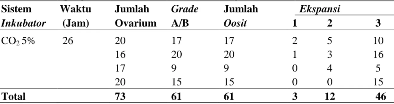 Tabel 2. Hasil pengamatan oosit inkubator selama 26 jam