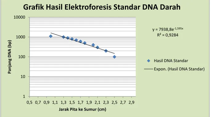 Grafik Hasil Elektroforesis Standar DNA Darah  