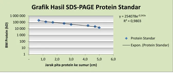 Grafik Hasil SDS-PAGE Protein Standar 