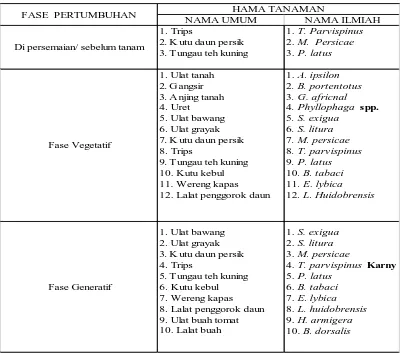 Tabel 1. Hama – hama yang menyerang tanaman cabai merah 