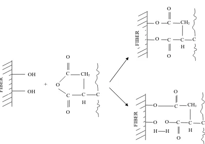 Gambar 2.10 Mekanisme Reaksi Maleat Anhidrida dengan PP 