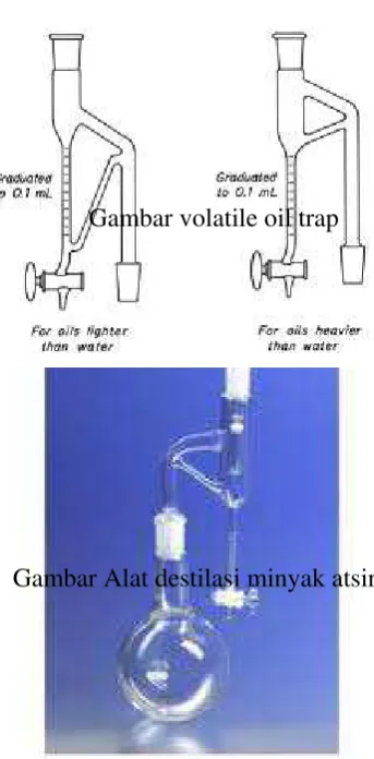 Gambar volatile oil trap 