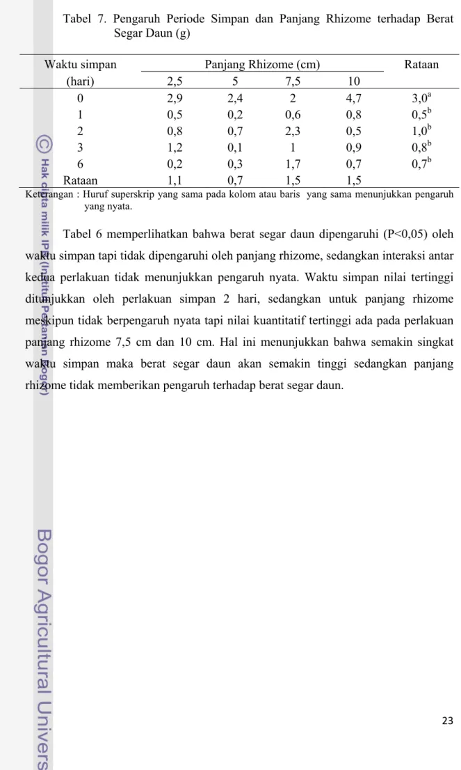 Tabel 7. Pengaruh Periode Simpan dan Panjang Rhizome terhadap Berat   Segar Daun (g) 