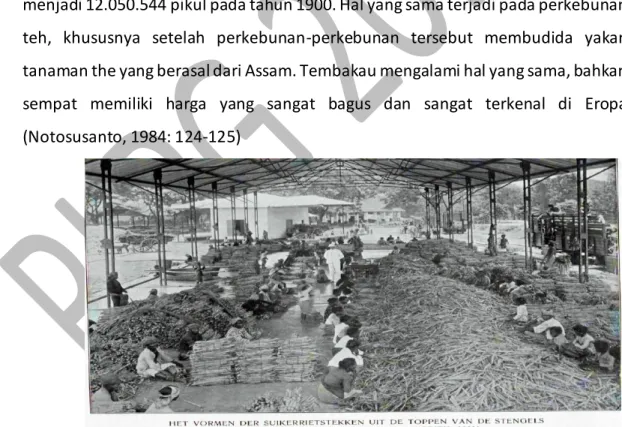Gambar pabrik gula di Jawa (www.willemsmithistorie.nl) 