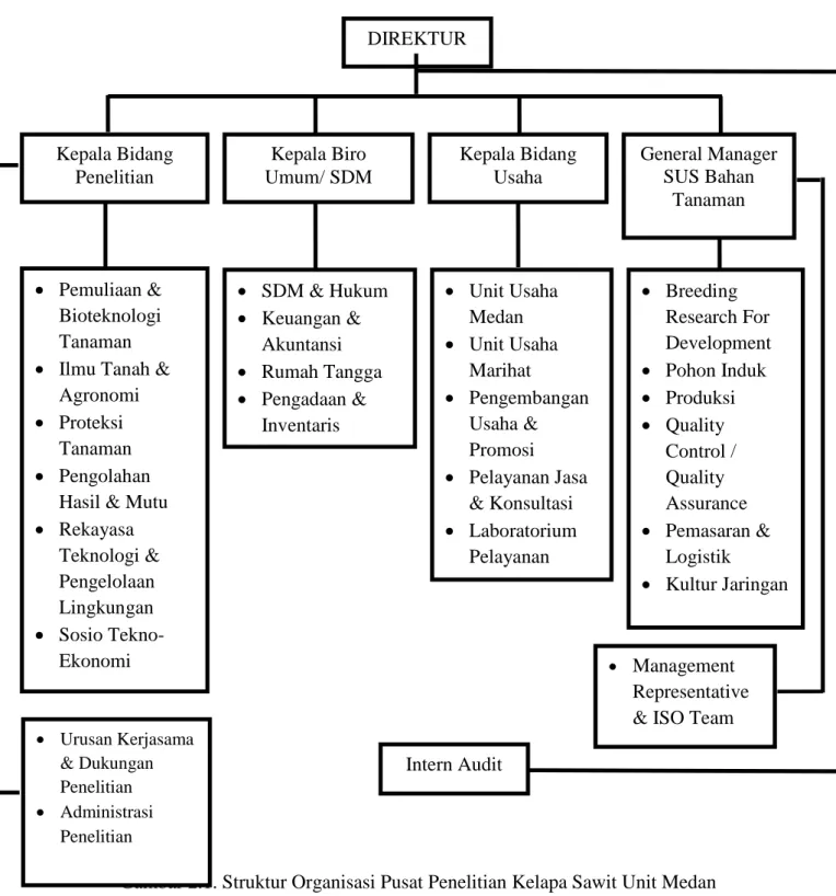 Gambar 2.1. Struktur Organisasi Pusat Penelitian Kelapa Sawit Unit Medan  Sumber : Pusat Penelitian Kelapa Sawit (PPKS) Medan (2015) 