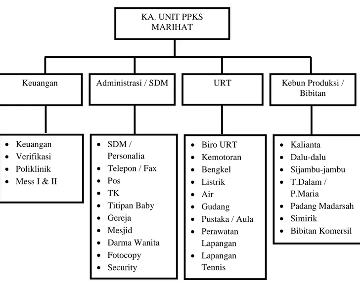 Gambar 2.2. Struktur Organisasi Pusat Penelitian Kelapa Sawit Unit Usaha Marihat  Sumber : Pusat Penelitian Kelapa Sawit (PPKS) Unit Marihat (2015) 