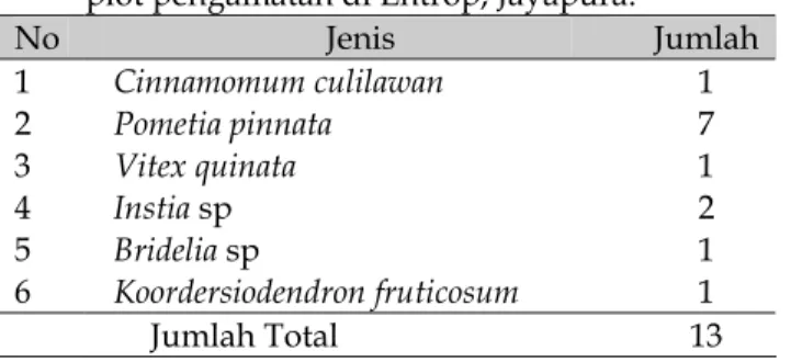 Tabel 2. Jenis–jenis pohon yang mempunyai diameter  di atas 50 cm (Ø &gt;50cm), yang dijumpai pada  plot pengamatan di Entrop, Jayapura