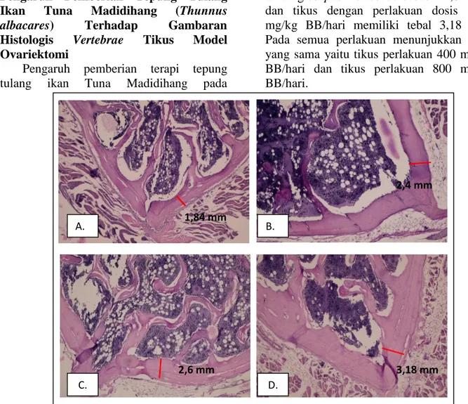 Gambar 1.  Gambaran histopatologis tulang vertebrae tikus (perbesaran100x);  Keterangan