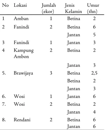 Tabel 1. Jenis kelamin dan umur rusa Timor yang di- di-pelihara responden 