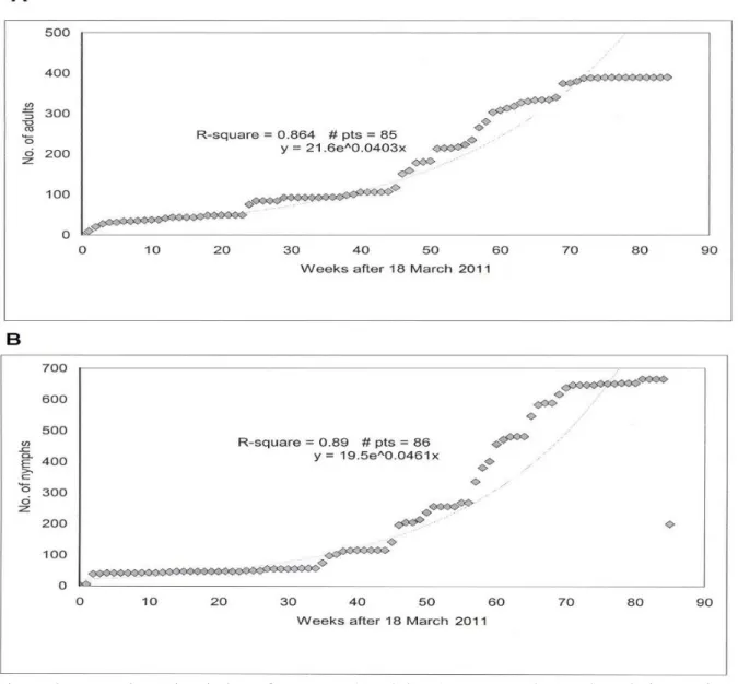 Figure 4 parades that adults were trapped throughout the year, but extremely high catches were  recorded using the Bamboo pole, Rebell and yellow sticky traps during September - October  in 2011 and 2012, followed by progressively  moderate catches  in Feb