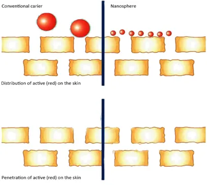 Gambar 2.6 Perbedaan  ukuran partikel dan penetrasi ke kulit  (Slide Presentasi Produk Qva –PT.Kalbe Farma Tbk) 