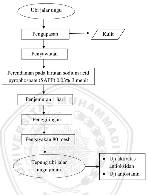 Gambar 4. Diagram Alir Pembuatan Tepung Ubi Jalar Ungu dengan    Penjemuran (Hardoko dkk, 2010 dengan modifikasi) 