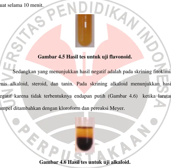 Gambar 4.5 Hasil tes untuk uji flavonoid. 