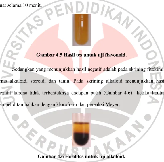 Gambar 4.5 Hasil tes untuk uji flavonoid. 