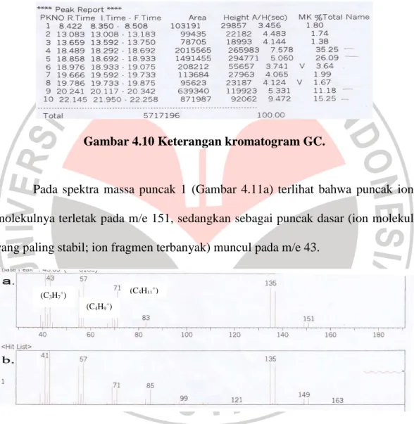 Gambar 4.10 Keterangan kromatogram GC. 