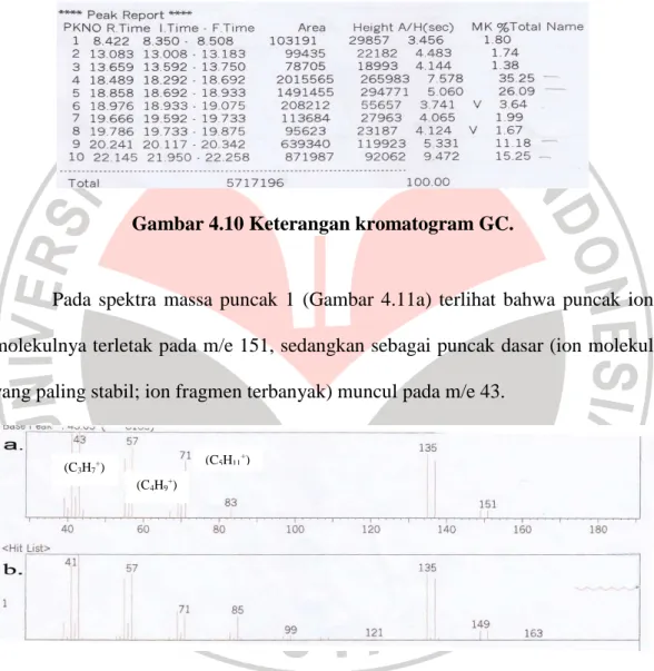 Gambar 4.10 Keterangan kromatogram GC. 