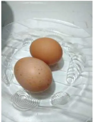 Gambar 2.4 Telur Ayam 