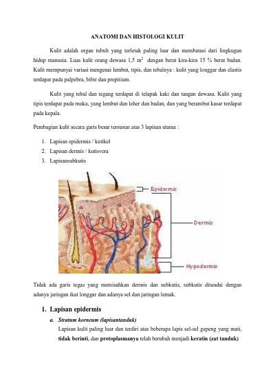 Anatomi Dan Histologi Kulit