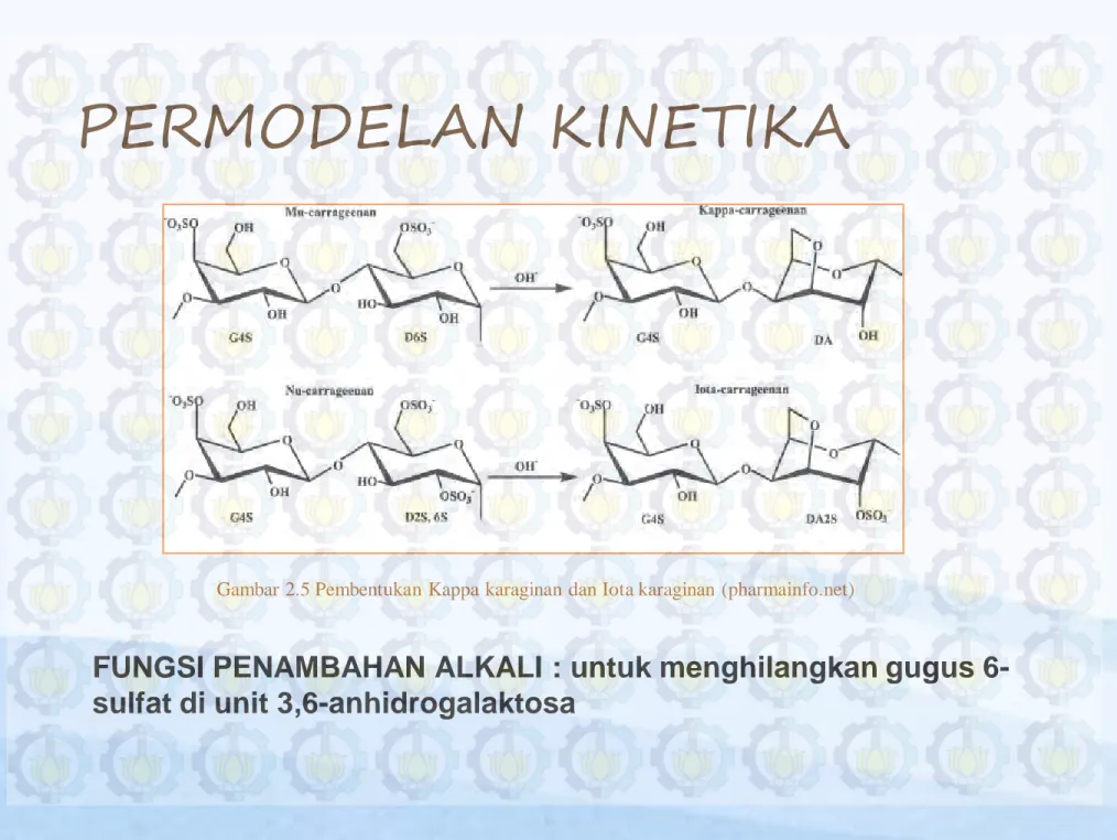 Gambar 2.5 Pembentukan Kappa karaginan dan Iota karaginan (pharmainfo.net)