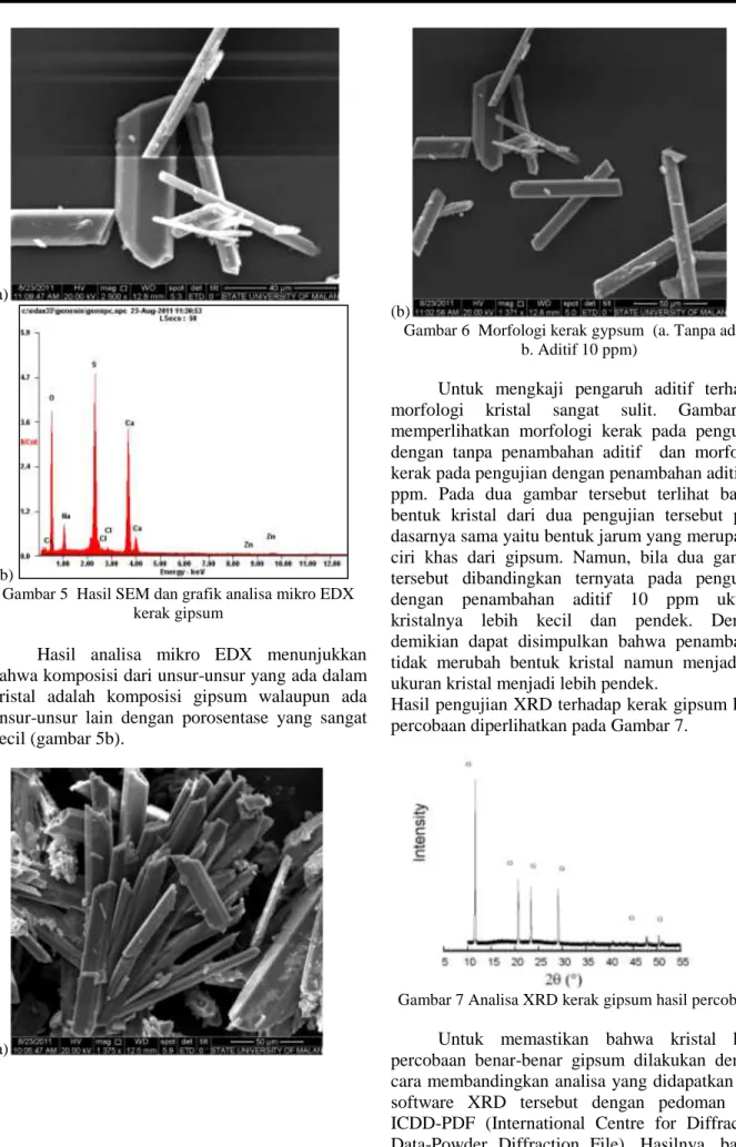 Gambar 5  Hasil SEM dan grafik analisa mikro EDX  kerak gipsum 