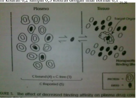 Gambar 5.  Penurunan efektifitas ikatan afinitas konsentrasi protein plasma. Bandinngkan dengan gambar.3